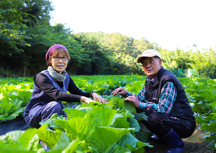 괴산 동막골꾸지뽕농원