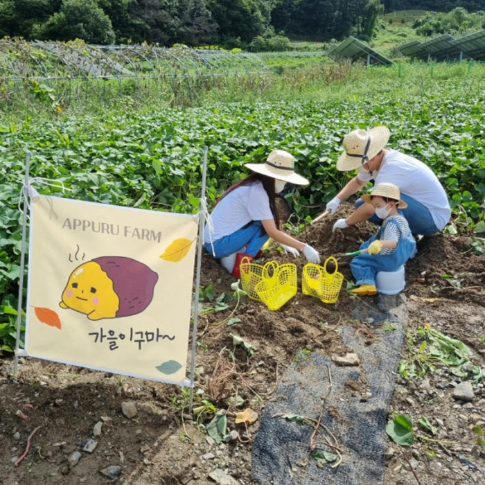 청주 애쁘르팜