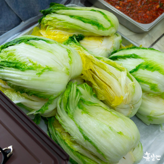 [괴산] 사리면 백마마을 김장