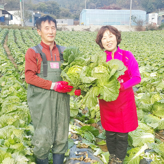 [괴산] 불정면 양달농장 김장