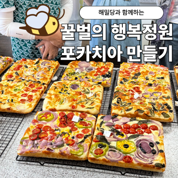 해밀당포카치아블로그표지.png
