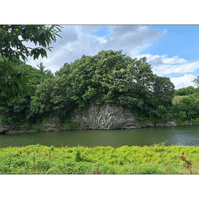 20260720_181159.gif